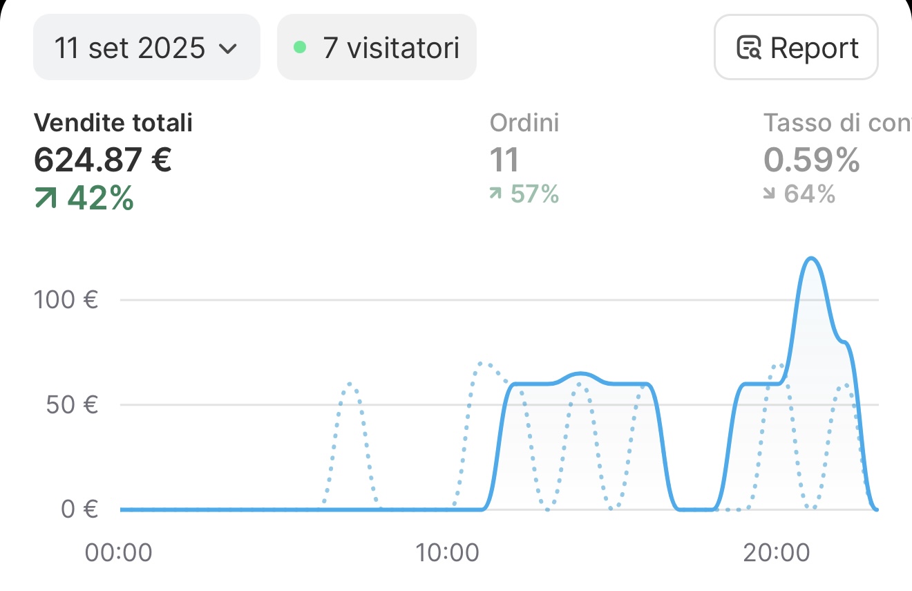 Dashboard Shopify 8